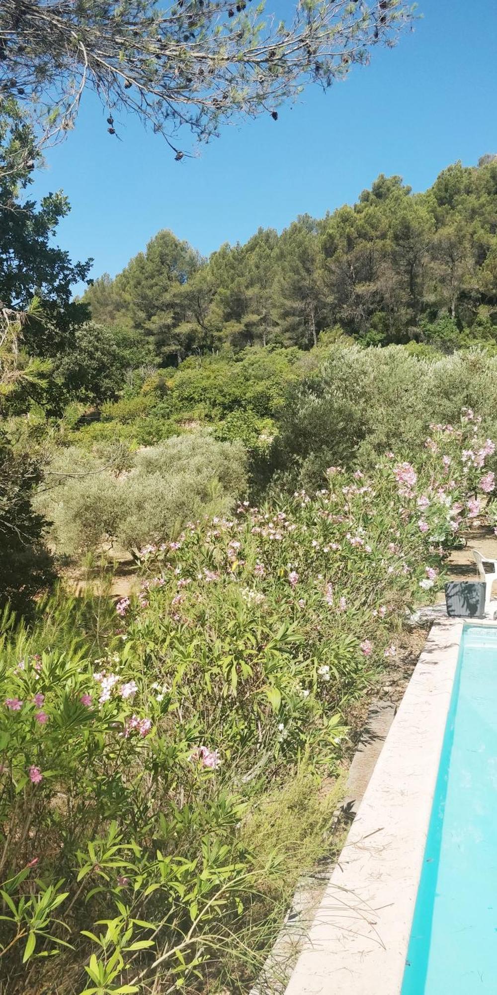 Villa Cigalons En Pleine Pinede Avec Piscine Chauffee De Mai A Septembre Auriol Eksteriør billede