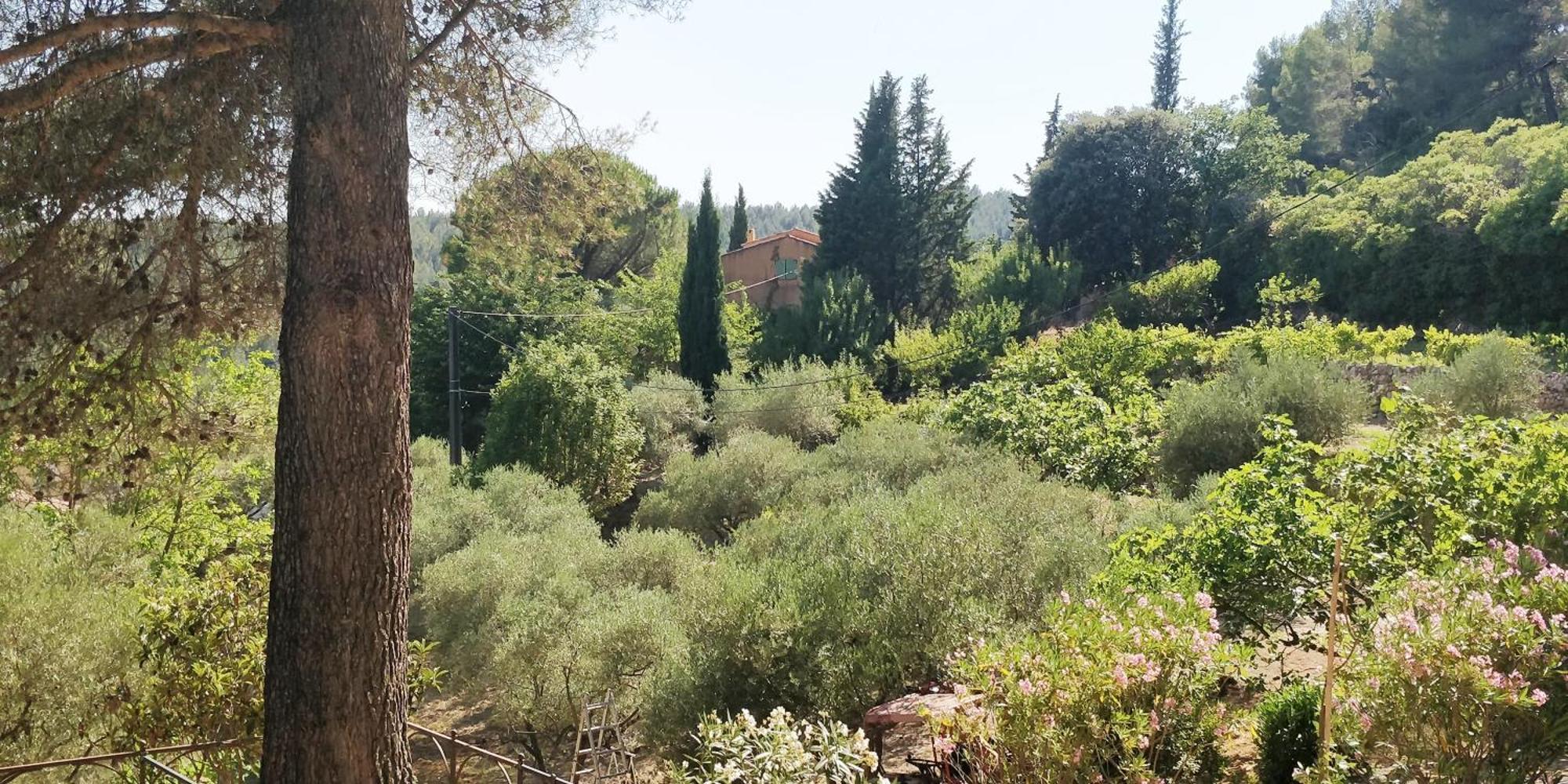 Villa Cigalons En Pleine Pinede Avec Piscine Chauffee De Mai A Septembre Auriol Eksteriør billede