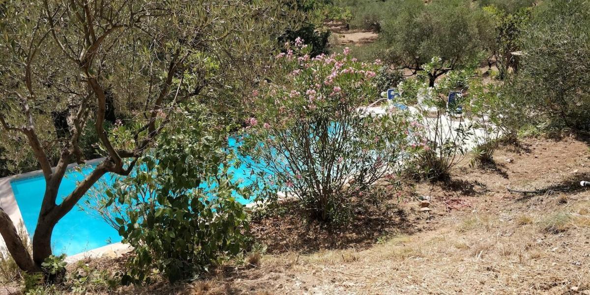 Villa Cigalons En Pleine Pinede Avec Piscine Chauffee De Mai A Septembre Auriol Eksteriør billede